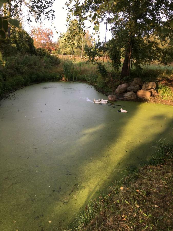 Siedlisko Nasza Chata Popiolki Esterno foto